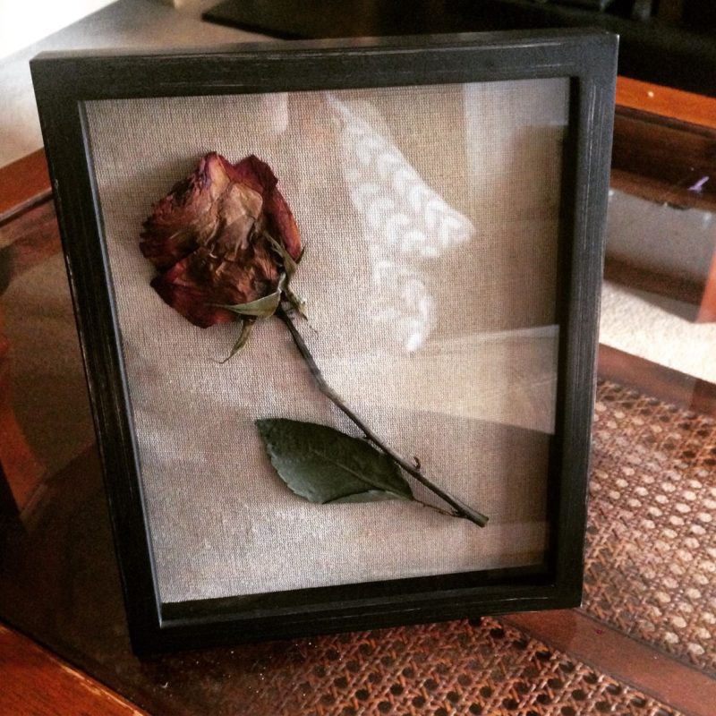 Dried-Rose-Frame